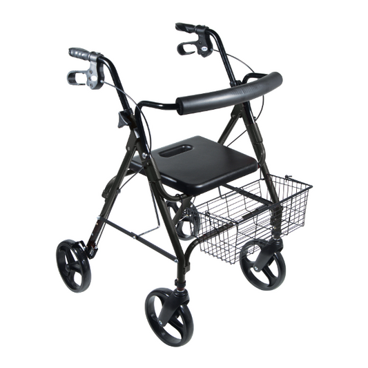 DLite Lightweight Walker/Rollator with 8" Removable Wheels