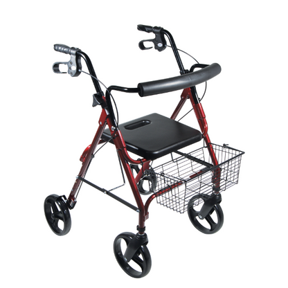 DLite Lightweight Walker/Rollator with 8" Removable Wheels